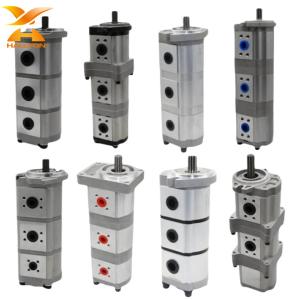 Quality Customizable Excavator Double Hydraulic Charge Pump High Pressure Hydraulic Gear Pump For Shimadzu Rexroth Kubota Kobelco wholesale