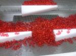 Vegan Encapsulation Machine