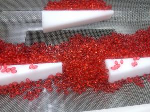 Quality Vegan Encapsulation Machine wholesale