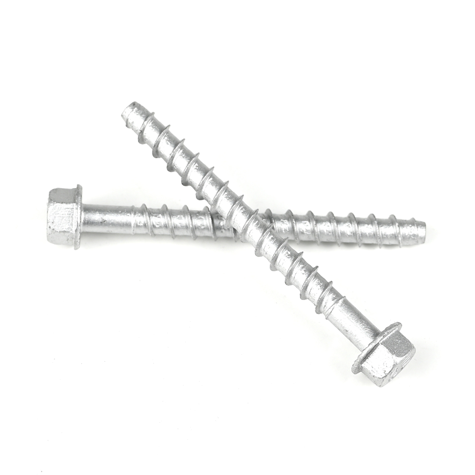 Contact Customer Service for Customized Support Stainless Steel Concrete Screw Anchors