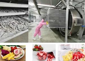 Quality PLC Controlled Food Vacuum Food Freeze Dryer 200kg/batch wholesale