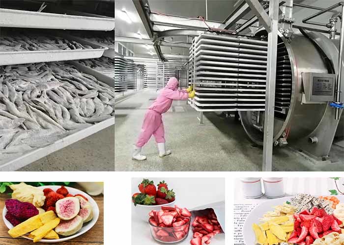 Custom Milk Meat Food Vacuum Freeze Dryer 300 Kg/Batch