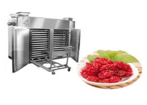 Quality 1.35kw 300kg Hot Air Drying Oven For Bottarga Dehydrator Fruit Drying wholesale