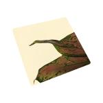 0.3mm-6.0mm Hot rolled Thickness Steel Sheet by Professional Manufacturer