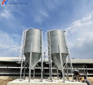 Quality Poultry Farm Chicken Feeding Line Automatic Poultry Pan Feeding System wholesale