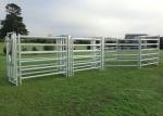 Galvanized Pipe Fence Panels , High Safety Livestock Metal Fence Panels