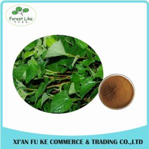Quality Natural Houttuynia Cordata Extract Powder 10 : 1 wholesale