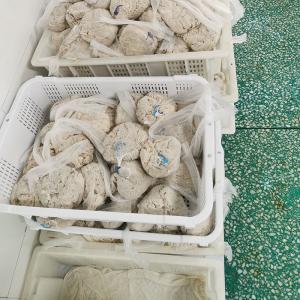 Quality AA A B Grade Lamb Sausage Casing wholesale