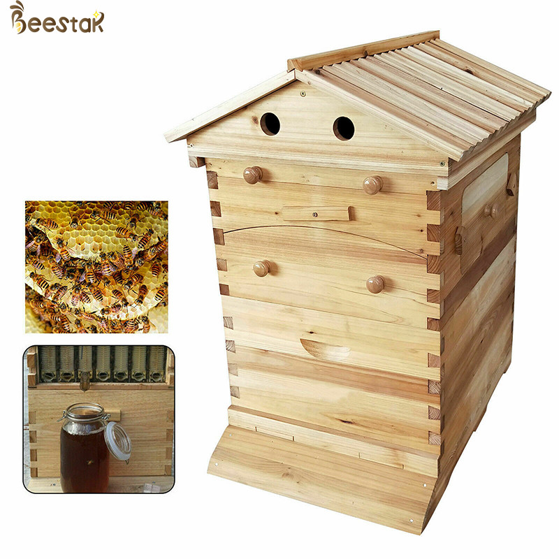 Self Flow Bee Hive Frames Wooden Beehive and Frame Fir Wood For Beekeeping