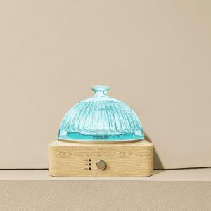 Quality 200 MLGlass Essential Oil Diffuser▕ DN-839 wholesale