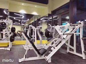 Quality Deliver Results with Reliable Fitness Equipment from Various s wholesale