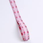 7mm-38mm Blue Embroidered Ribbon ISO9001 Embroidered Floral Ribbon