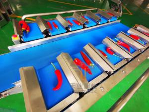 Quality Chili Vegetables 2000g 12 Belt Fruit Multihead Weigher wholesale