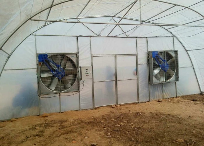 Industrial Poly Tunnels For Gardens Head Roof Yellow Film Tunnel Greenhouse Plastic