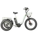 7 Speed 3 Wheel Electric Tricycle 24 Inch 48V 500W Fat Tire Electric Trike For
