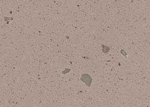 Quality Concrete Solid Effect Vinyl Decorative Laminate Film Roll Removable For Walls wholesale