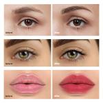 MSDS Semi Permanent Makeup Pigments For Pmu Eyebrow Cream