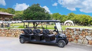 Quality Tourist Sightseeing Electric Golf Buggy 6 Seats wholesale