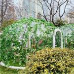 Handy Installation Garden Bubble Tent Weatherproof Bubble Camping Tent