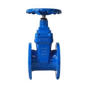 China Non Rising Stem Sewer Gate Valve 8 Inch PN16 Nut Type on sale