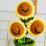 New Creative Luxury Handmade Crochet Knitting Plants Flowers Handicraft Home
