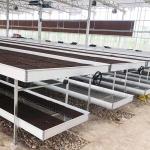 Commercial Greenhouse Rolling Benches / Seedbed Wire Greenhouse Bench for