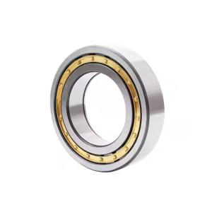 Quality Manufacturer Auto Bearings NJ2211E Cylindrical Roller Bearing wholesale