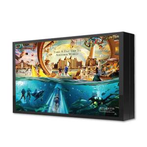 Quality 65 inch wall-mounted horizontal screen air-cooled outdoor ip65 digital signage metal case wholesale