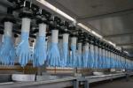 Glove Machine Medical Gloves Machine Production Line Product of BLX Latex New