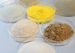 Quality Fungal Amylase Bakery Enzyme Powder Food Additives wholesale