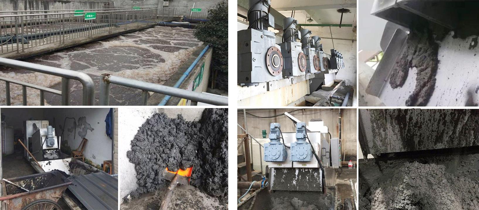 Screw Press Wastewater Treatment Equipment The Ultimate Solution for Sludge Dewatering
