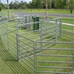 Galvanized Welded Pipe Cattle Fence Panel 8FT Horse Farm Fencing Panels