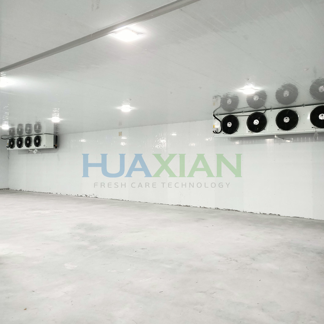 Industrial Logistics Fish/Seafood/Meat/Chicken Freezer Cold Room Construction for Frozen Food