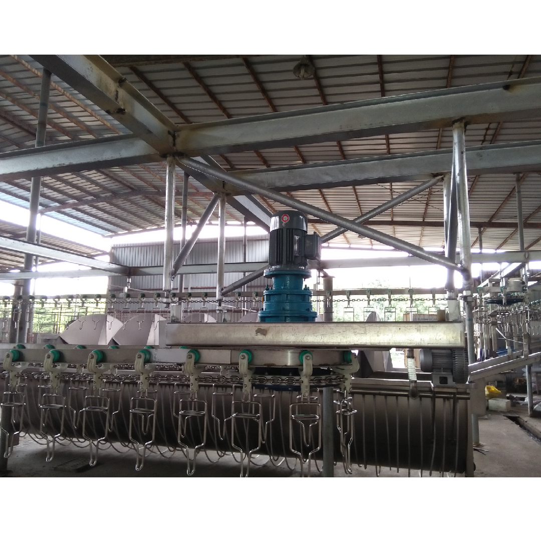 Custom Quail Slaughtering Machine With 220V / 380V / 415V / 230V / 110V Voltage