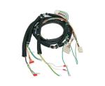 Hirschmann Delphi Medical Equipment Cables Wire Harness OEM ODM