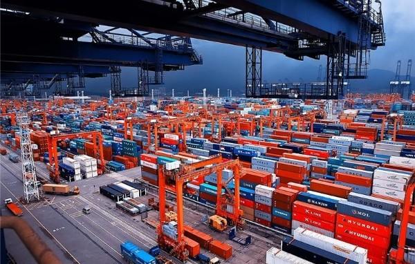 Cheap China To America FCL Container Shipping DDU DDP Terms Fast Freight Forward for sale