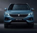 Luxury Energy Vehicles High Speed Mpv Dongfeng Voyah Free Pure Electric EV SUV