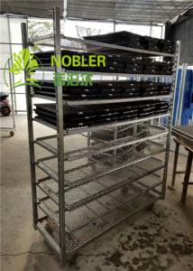 Quality Dutch Flower Display Trolley wholesale