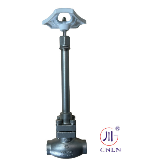 DN25 Cryogenic Globe Valves For LNG LOX LIN LAr CO2 PTFE Valve CF8 CF3