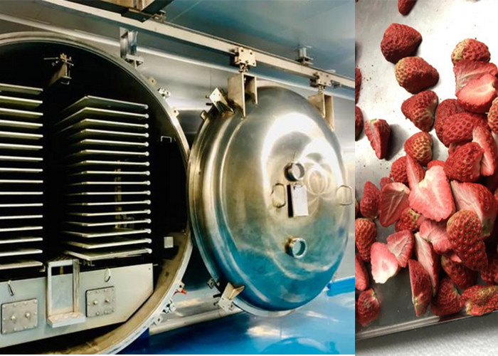 100Kg 200Kg Industrial Food Vacuum Freeze Drying Machine