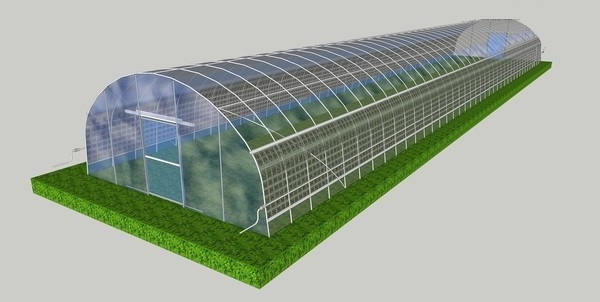 33ft Pe Film Skeleton Dustproof Single Tunnel Greenhouse