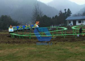 Quality Special Design Track Rides , Amusement Worm Roller Coaster For Adult / Kids wholesale