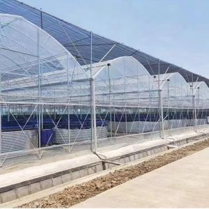 China Low Maintenance Poly Tunnel Multi-Span Greenhouse Durable Steel Components on sale
