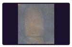 C205 BTDM-Ⅰ Vacuum coating fingerprint developing instrument