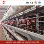 H Type Galvanized Poultry Layer Cage System Layer Chicken Steel Cage Mia