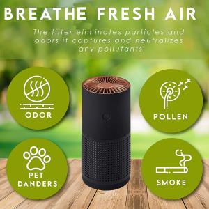 Quality H13 H12 HEPA Negative Ion Portable Air Purifier For Pollen Allergies Smoke wholesale