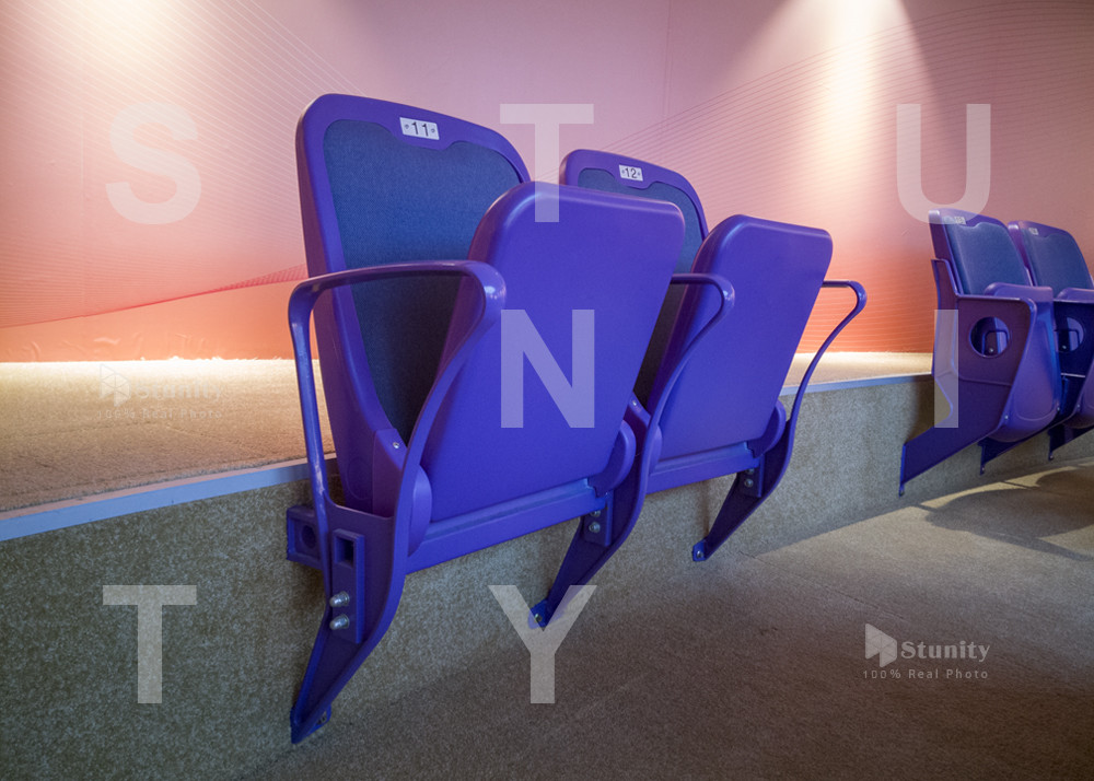 SGS Approved Plastic Comfortable Padded Stadium Seats