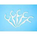 Factory Price Oral Care Eco Friendly Advanced Clean Toothpick Dental Flosser