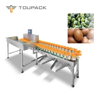 Quality TOUPACK 300Times/Min Conveyor Sortation Systems Stainless Steel wholesale