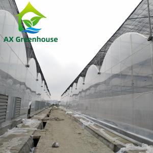Quality ODM Transparent Polycarbonate Plastic Film Greenhouse Side Top Ventilation Greenhouse wholesale